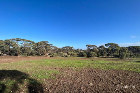 Property photo of 1009 Monarto Road Monarto SA 5254