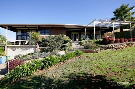 Property photo of 32 Wilks Avenue Kooringal NSW 2650