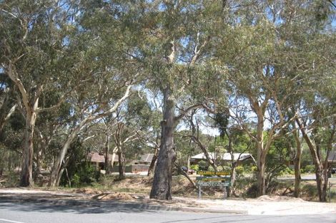 Lot 292 North Bvd, Tea Tree Gully, SA 5091