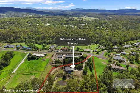 Property photo of 96 Forest Ridge Drive Tamaree QLD 4570