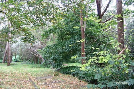 41a Eucalyptus Cl, St Ives, NSW 2075