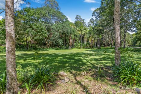 384 Smiths Creek Rd, Smiths Creek, NSW 2484