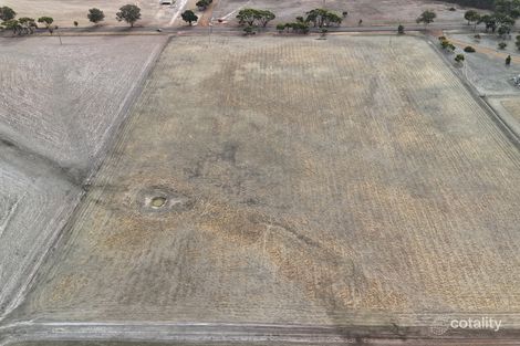 398 Chillicup Rd, Broomehill Village, WA 6318