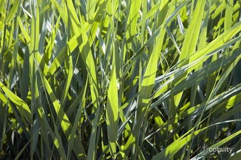 1 Eighth Ave, Chelsea Heights, VIC 3196