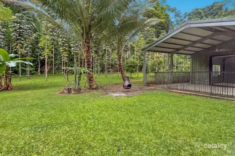 Property photo of 116 Hickory Road Cow Bay QLD 4873