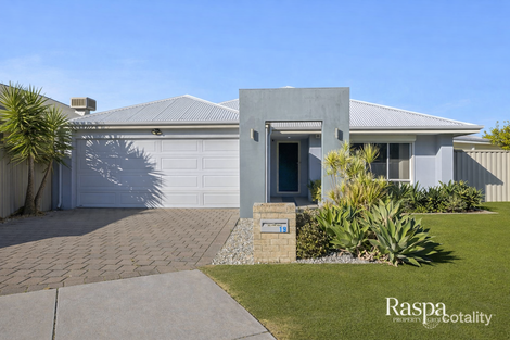 19 Sessilis Cres, Wattle Grove, WA 6107