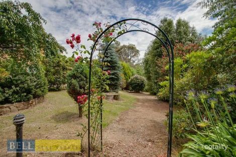Property photo of 53 Avon Road Avonsleigh VIC 3782