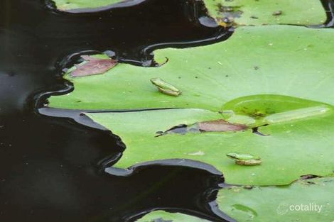 Property photo of 175 Palmers Road Terragon NSW 2484