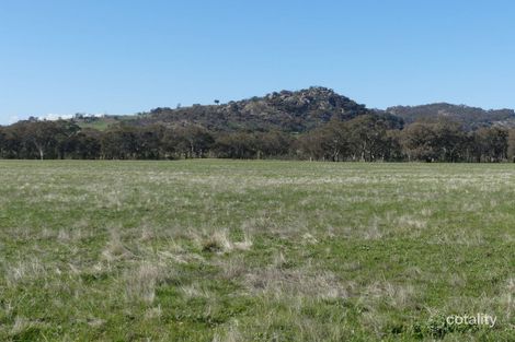 167 Halsalls Lane, Creightons Creek, VIC 3666