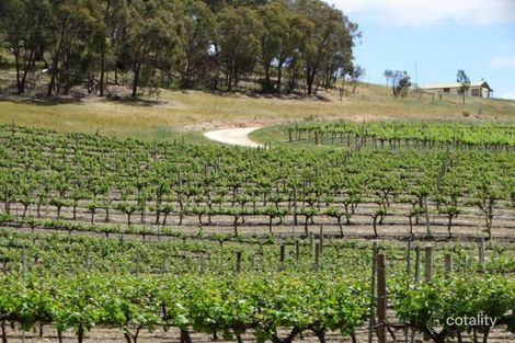 Property photo of 60 Saw Mill Road Sevenhill SA 5453