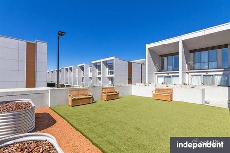 Property photo of 20/815 Horse Park Drive Amaroo ACT 2914