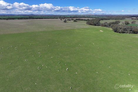 214 Milvale Rd, Stockinbingal, NSW 2725