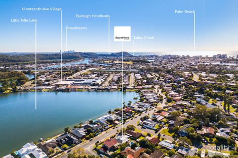 Property photo of 36 Ironbark Street Elanora QLD 4221