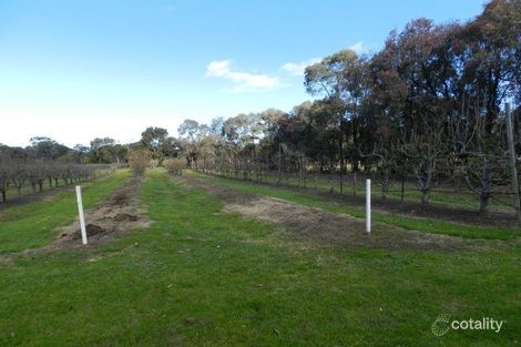 Property photo of 60 Mathiesons Road Eagle Point VIC 3878