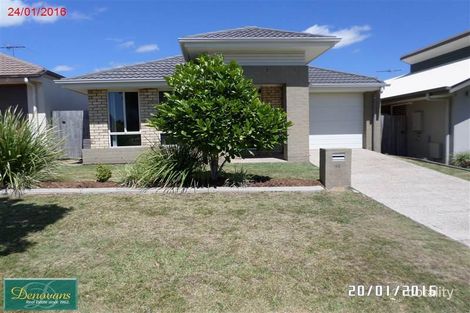 53 Shimao Cres, North Lakes, QLD 4509