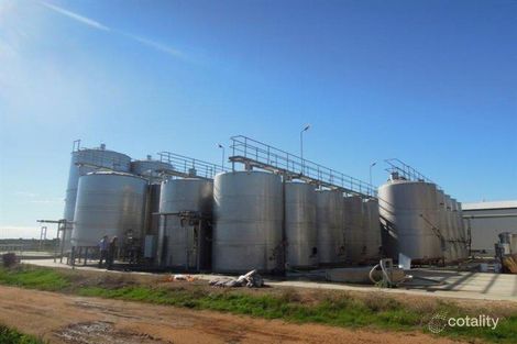 42 Airport Rd, Old Calperum, SA 5341