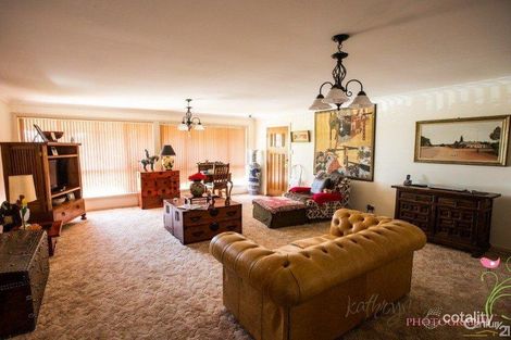 Property photo of 31 Federation Street Gilgandra NSW 2827