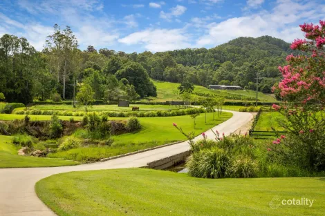 492 Nobbys Creek Rd, Nobbys Creek, NSW 2484