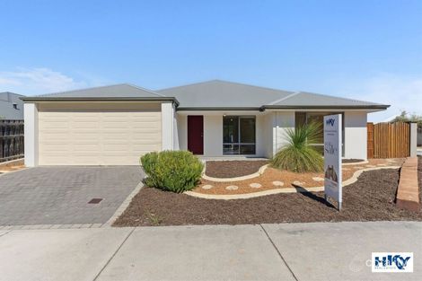 51 Pineroo Tce, Ellenbrook, WA 6069