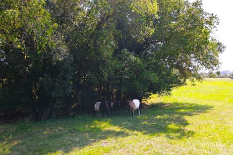 37 Johnsons Creek Rd, Stroud Road, NSW 2415