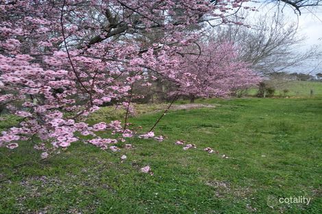 Property photo of 1/2 Linto Road Dwellingup WA 6213