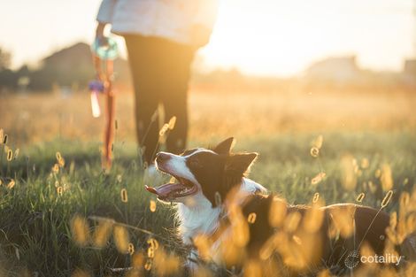 Lot 134/75 Eighteenth Ave, Austral, NSW 2179