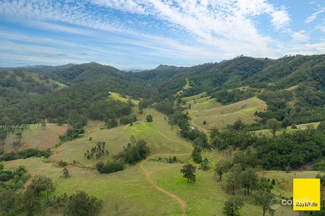 260 Dog Trap Creek Rd, Bingleburra, NSW 2311