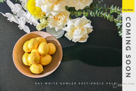 Contact Agent For Address, Evanston, SA 5116