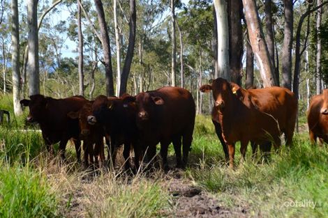 266 Mooma Rd, Upper Barron, QLD 4883