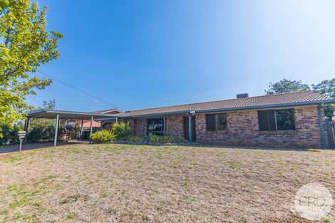 Property photo of 31 Myrl Street Calala NSW 2340