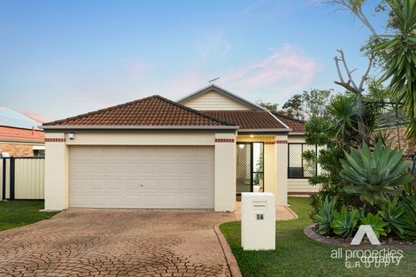 Property photo of 16 Rivergum Place Calamvale QLD 4116