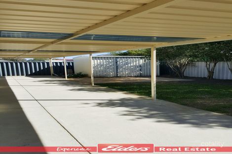 Property photo of 6 Flame Tree Loop Baldivis WA 6171