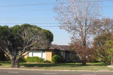 20 Cummins Rd, Brighton East, VIC 3187