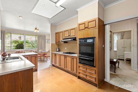 Property photo of 14 Molden Street Bentleigh East VIC 3165