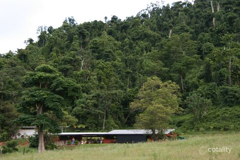 Property photo of 1150R Bramston Beach Road Bramston Beach QLD 4871