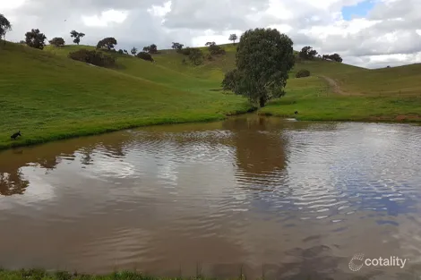 3924 Hume Hwy, Tarcutta, NSW 2652