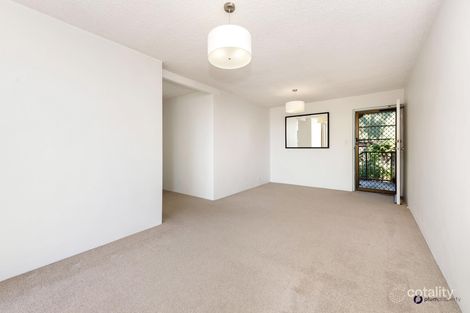 Property photo of 3/41 Goldsbrough Road Taringa QLD 4068