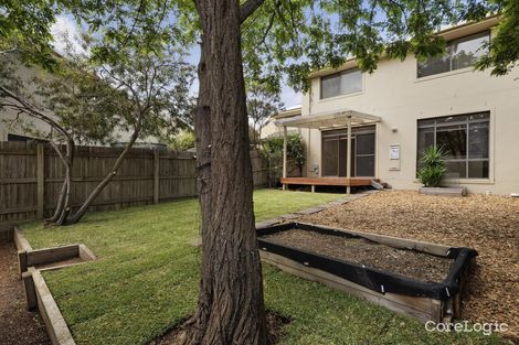 Property photo of 19 Frances Burke Street Gungahlin ACT 2912