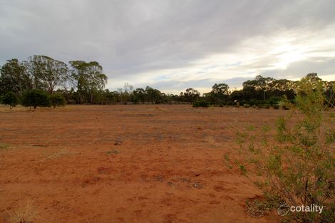 Property photo of 454 Holmes Road Kingston On Murray SA 5331