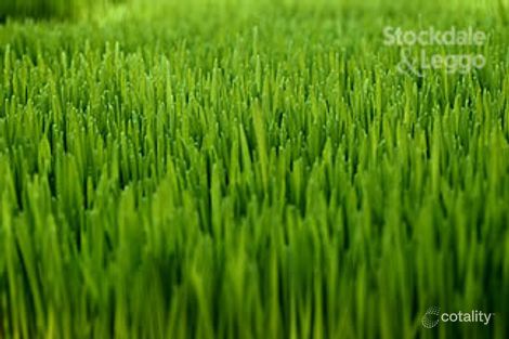 1 Savige St, Morwell, VIC 3840