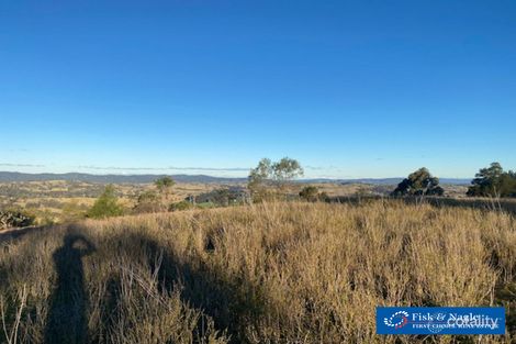 Property photo of 13150 Princes Highway Brogo NSW 2550