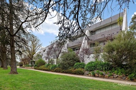 14/8 Giles St, Griffith, ACT 2603