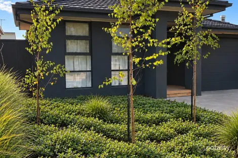 6 Drift Lane, Armstrong Creek, VIC 3217