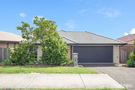 Property photo of 24 Oakwood Street Pimpama QLD 4209