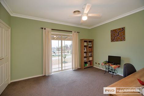 Property photo of 934 Daruka Road Daruka NSW 2340