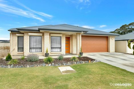 Property photo of 46 Centenary Avenue Nuriootpa SA 5355