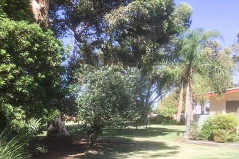 Property photo of 17 Elephant Trunk Road Cobdogla SA 5346