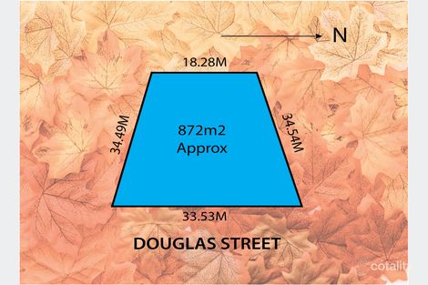 27 Douglas St, Lockleys, SA 5032