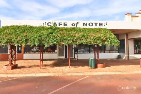 21 Fenton Pl, Wongan Hills, WA 6603