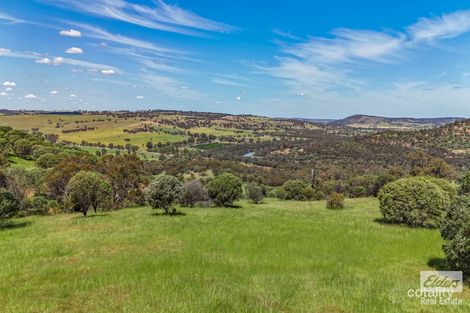 131 Nockdominie Rd, Dumbarton, WA 6566